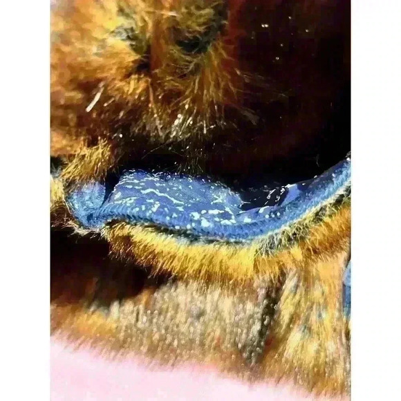 The LOOK Randolph Duke Womens Suede & Faux Fur Blue Fox Jacket Hood Size Large - Picture 16 of 16